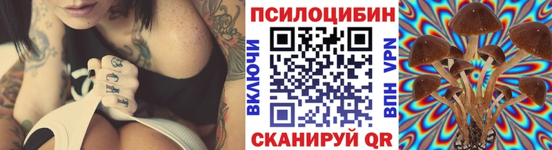 Псилоцибиновые грибы GOLDEN TEACHER  закладки  блэк спрут рабочий сайт  Юрьев-Польский 